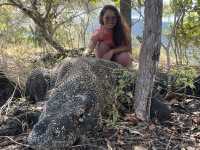 Unforgetable trip with these 3 beautiful islands in Indonesia: Rinca, Padar and Komodo
