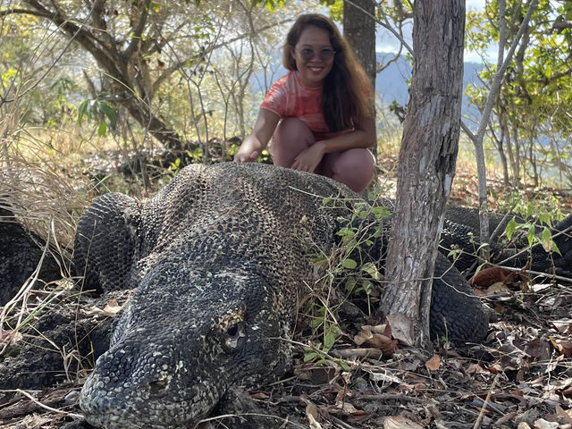 Unforgetable trip with these 3 beautiful islands in Indonesia: Rinca, Padar and Komodo