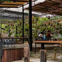 คาเฟ่ภูเก็ต