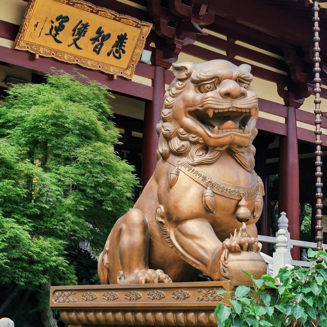 普陀山:佛教聖地 普陀山:佛教聖地