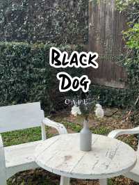 คาเฟ่สุดแนว Black Dog Coffee