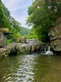 대구 비슬산 계곡 물놀이 🏞 평상 대여 가능한 곳