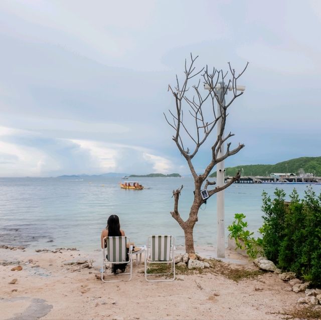Cape Haven เกาะล้าน