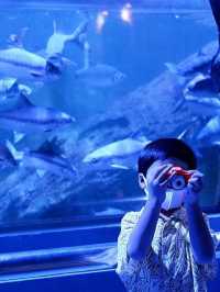 พิพิธภัณฑ์สัตว์น้ําหว้ากอ จ.ประจวบคีรีขันธ์ 🐳💕