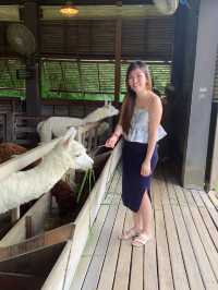 Khao Yai - A charming little place