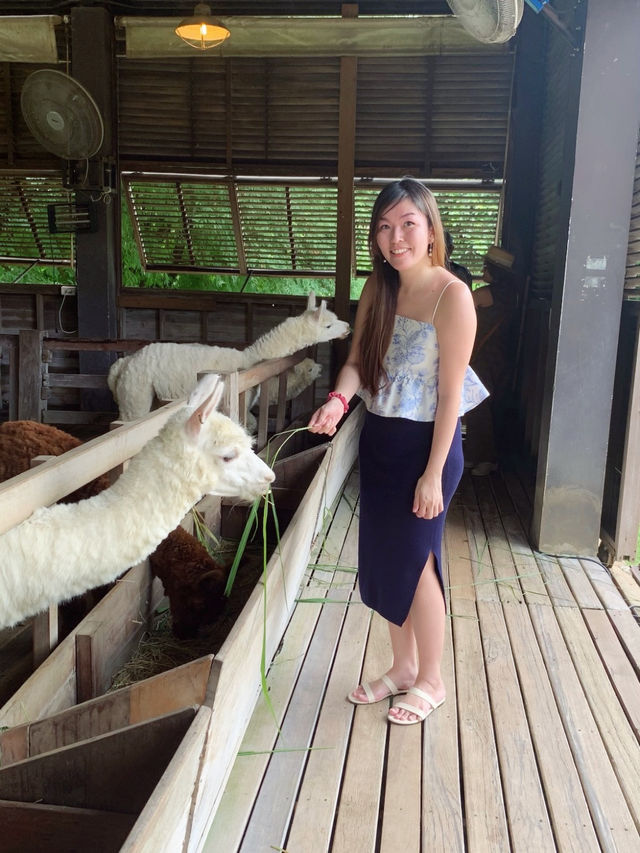 Khao Yai - A charming little place