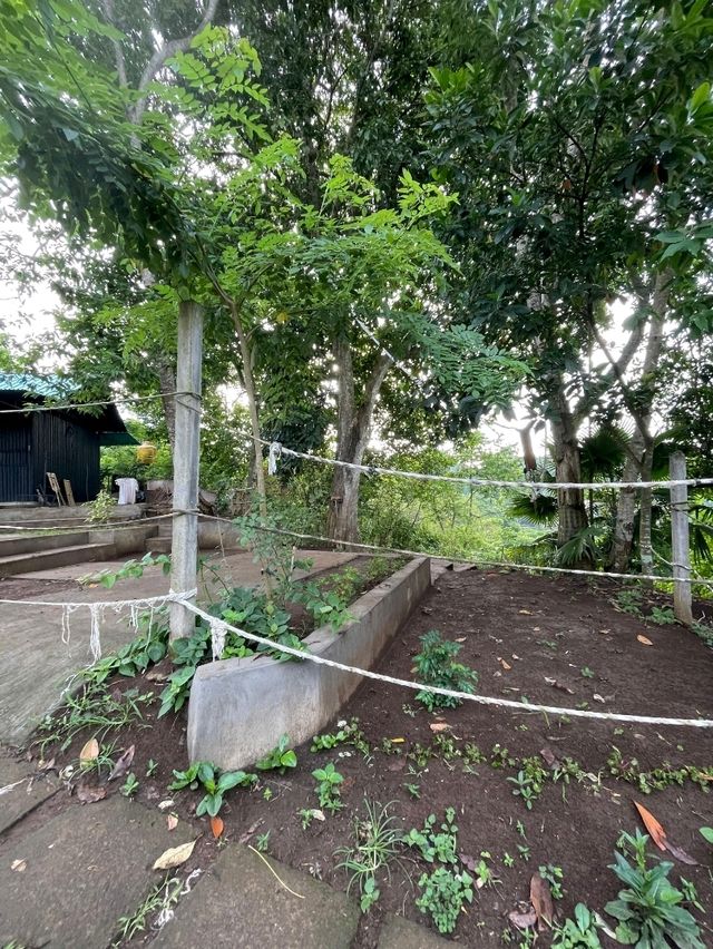 🇮🇩Campuhan Ridge Walk
