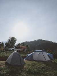 แคมป์ปิ้ง ชมทะเลหมอก ☁️🏕️ ม่อนเงาะ 