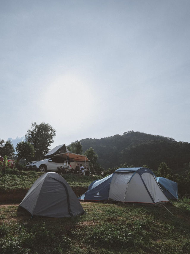 แคมป์ปิ้ง ชมทะเลหมอก ☁️🏕️ ม่อนเงาะ 