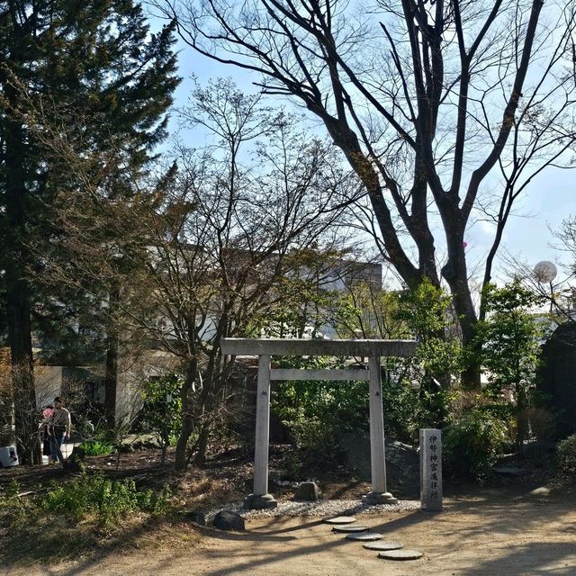 守護松本商店街的神秘存在〔四柱神社〕