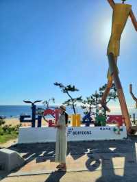 머드축제로 핫한 보령 대천해수욕장🏖