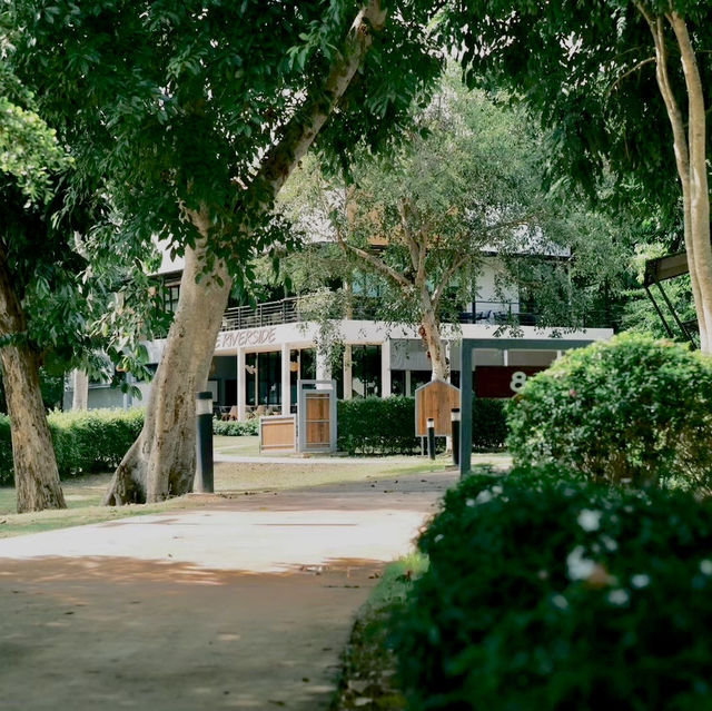The Tree Riverside ที่พักสวยในอำเภอแก่งกระจาน