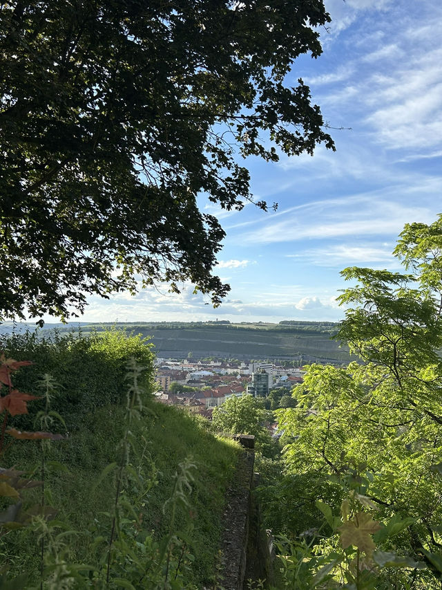 아름다운 독일 소도시 Würzburg 🏡🤍🇩🇪
