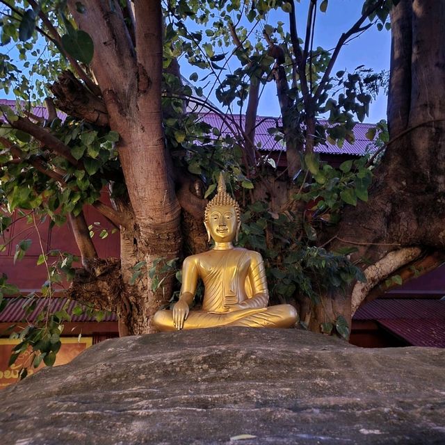 วัดพันเตา