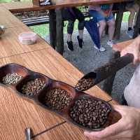 North Fields Coffee and Chocolate Tour in Costarica 