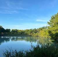 中興湖🎋城市綠洲