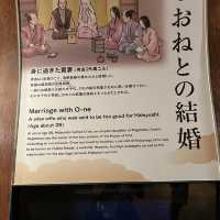 大阪城天守閣🏯～豐臣vs德川兩代名將的堡壘
