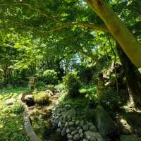 Akamine Camping Ground：綠意滿溢，親近自然的露營樂趣