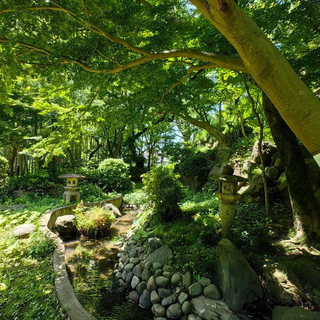 Akamine Camping Ground：綠意滿溢，親近自然的露營樂趣