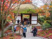 วัดโจจัคคุจิ (Jojakkoji Temple)