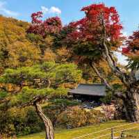 Hwadam Botanical Garden - South Korea
