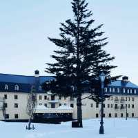  ❄️ 白色天堂：樂天新井度假村