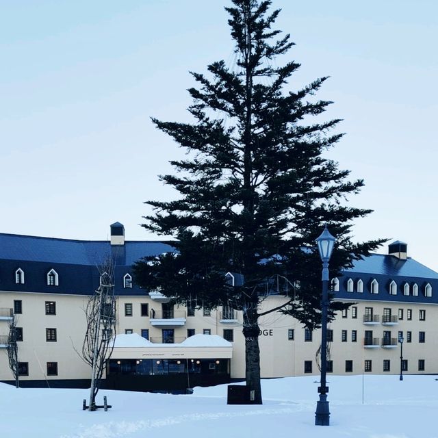  ❄️ 白色天堂：樂天新井度假村