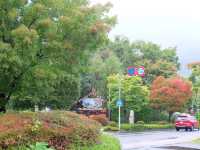 Autumn in Tokyo ชมใบไม้เปลี่ยนสีที่โตเกียว 🍁
