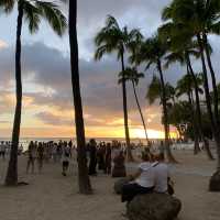 この木なんの木？気になる木〜in Hawaii 