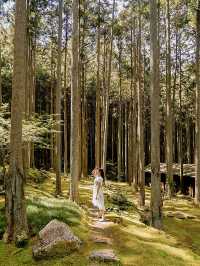 📍ギャラリー喫茶 苔筵