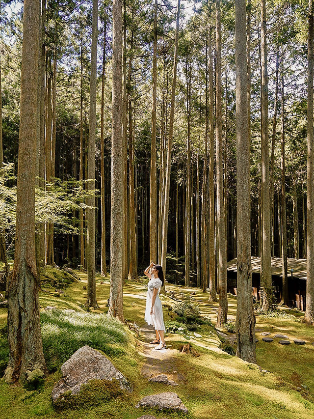 📍ギャラリー喫茶 苔筵