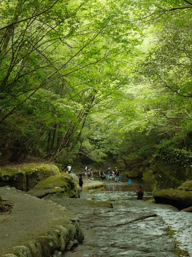 大分〜宇佐〜岳切渓谷