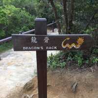 Conquering Dragon's Back: Epic Hike Through Hong Kong's Wild Side