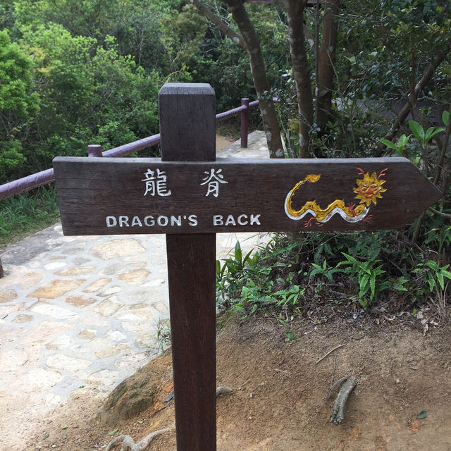 Conquering Dragon's Back: Epic Hike Through Hong Kong's Wild Side