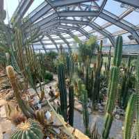 ～牛津大學哈考特植物園～增長植物知識好去處～