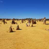 Nature's Artistry: The Breathtaking Pinnacles Desert