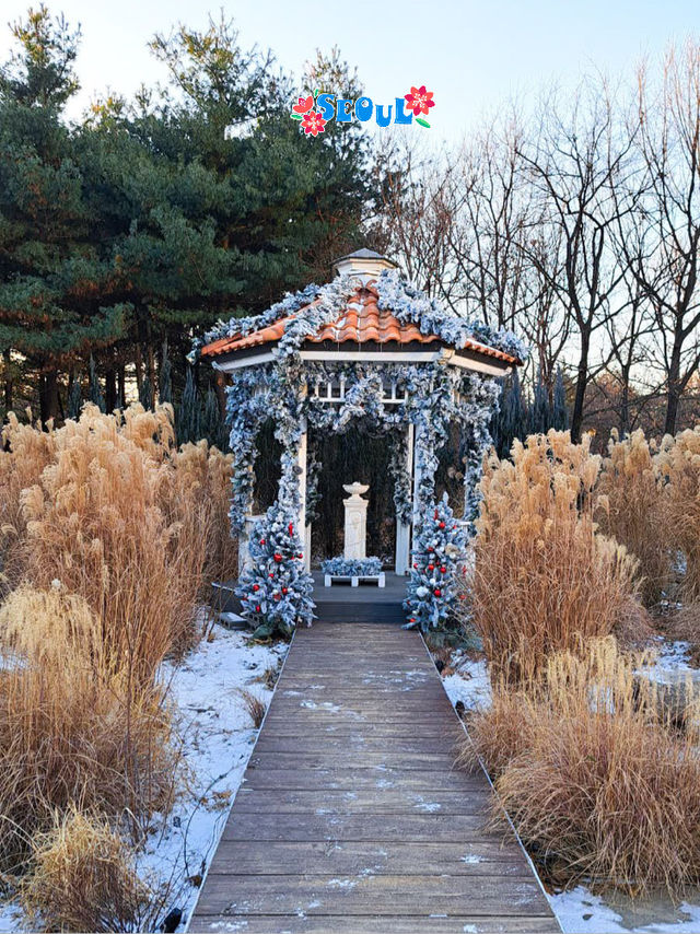 冬遊被冰雪覆蓋的首爾森林