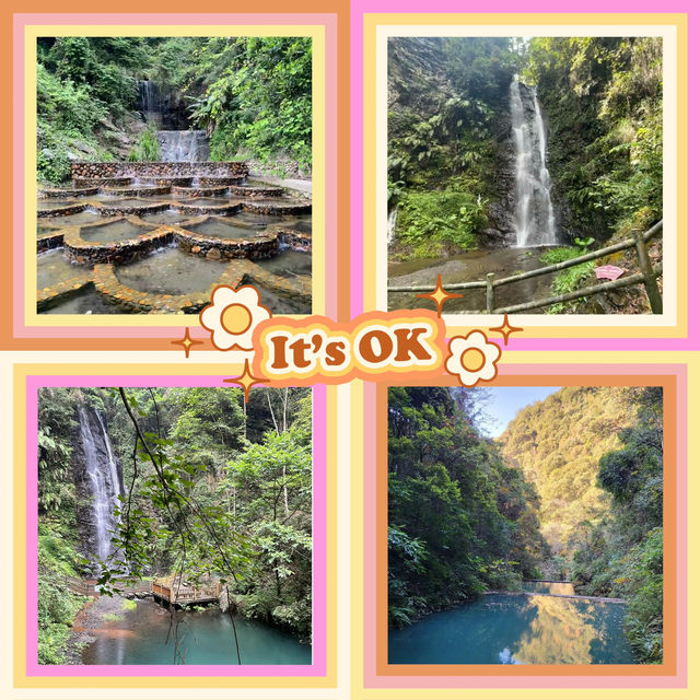 ～陽台山森林公園～自然的奇妙～