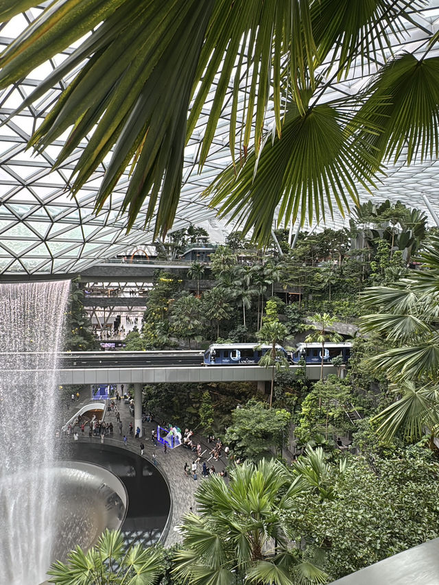 🇸🇬 Canopy Park Rain Vortex View