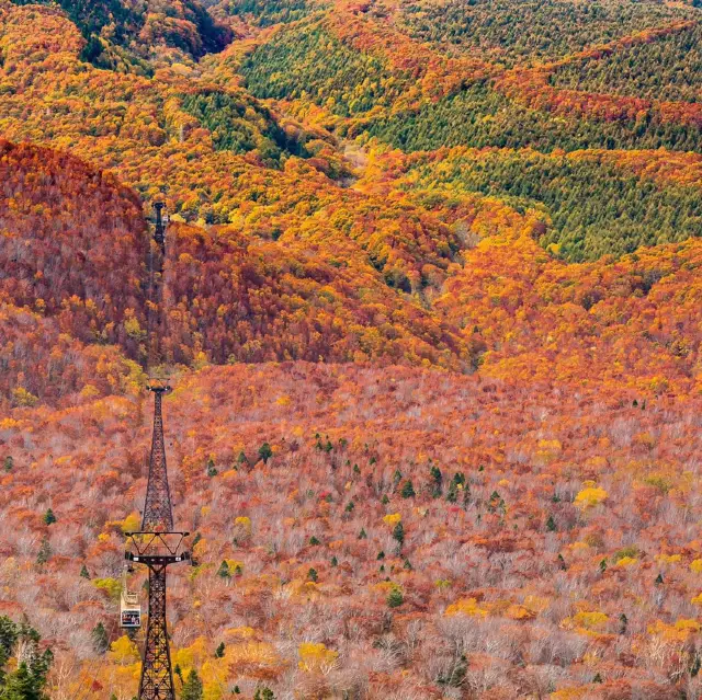 Hakkoda Ropeway
