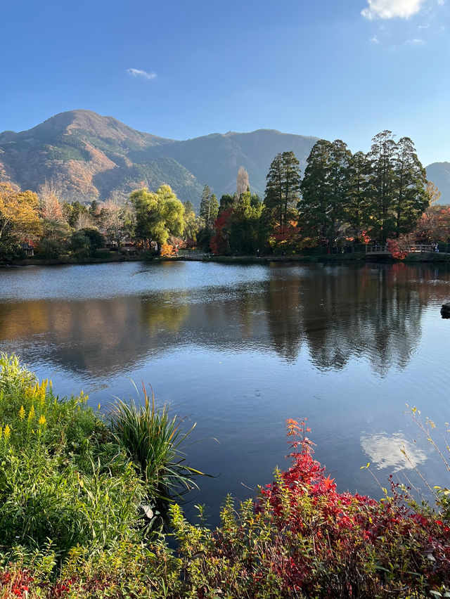 【大分 湯布院】湯布院散策で出会う素敵な街並み🏡