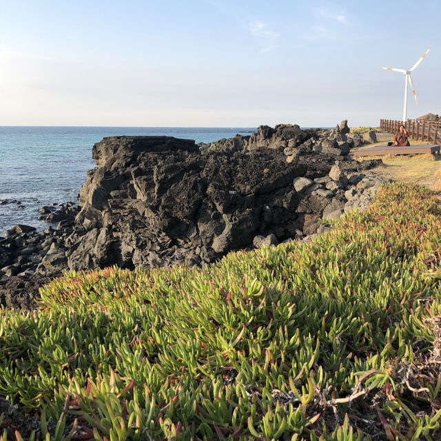 Cactus and Coast: Scenic Walks at Wollyeong-ri 🇰🇷