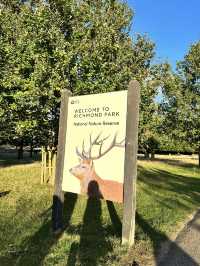 🇬🇧 倫敦最大的皇室公園