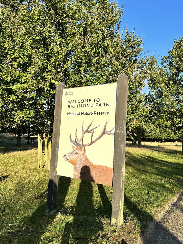 🇬🇧 倫敦最大的皇室公園