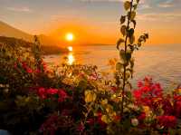 Golden Horizons at Sunset Point, Amed