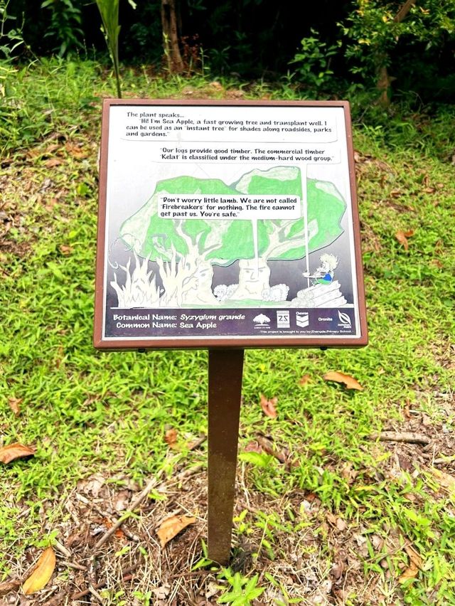 Exploring Forested Areas in Labrador Nature Reserve 