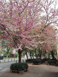 What's to expect in Paris in spring? One word: colorful.