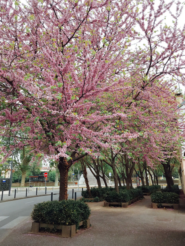 What's to expect in Paris in spring? One word: colorful.