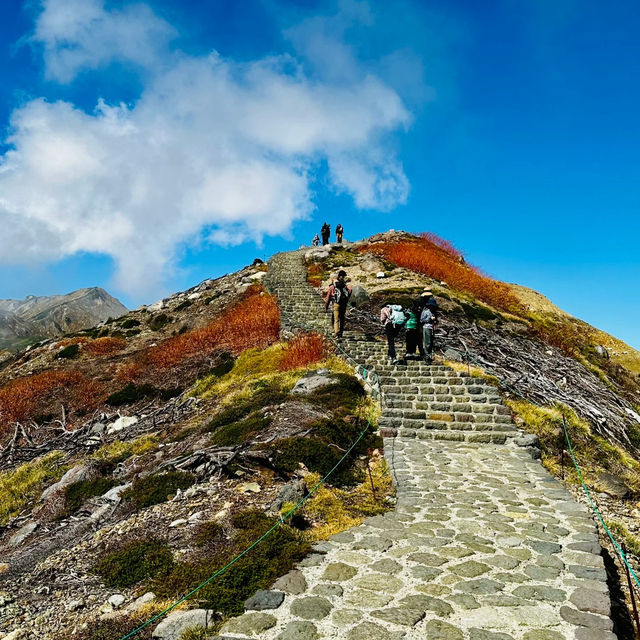 禮文岳：初秋色彩下的壯麗山景 🏞️🍂