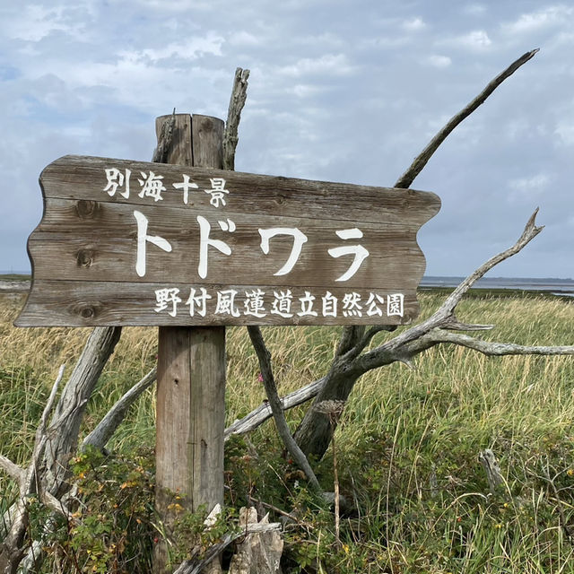 北海道の原風景「トドワラ」はまるで地の果てだった！